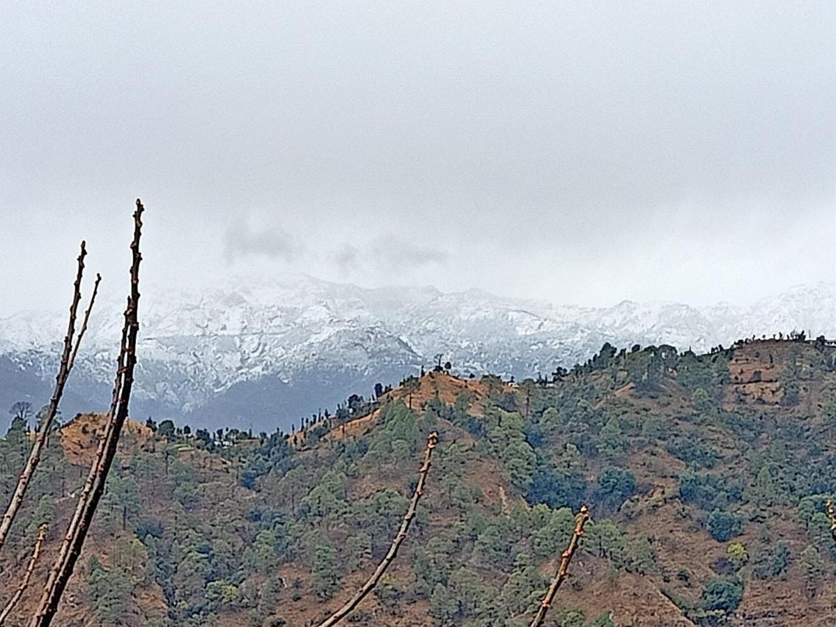 Shiva Valley Resort Kokhliyal Gaon Exteriör bild