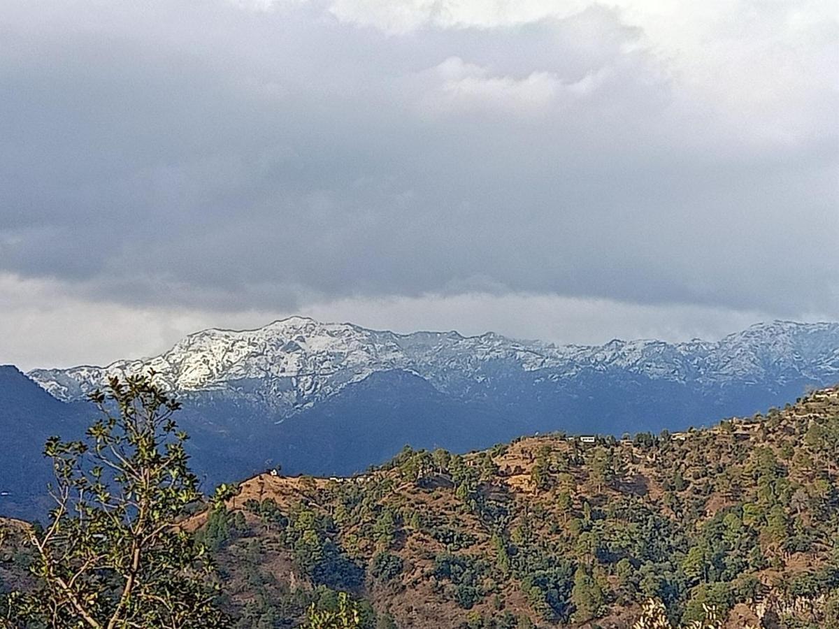 Shiva Valley Resort Kokhliyal Gaon Exteriör bild