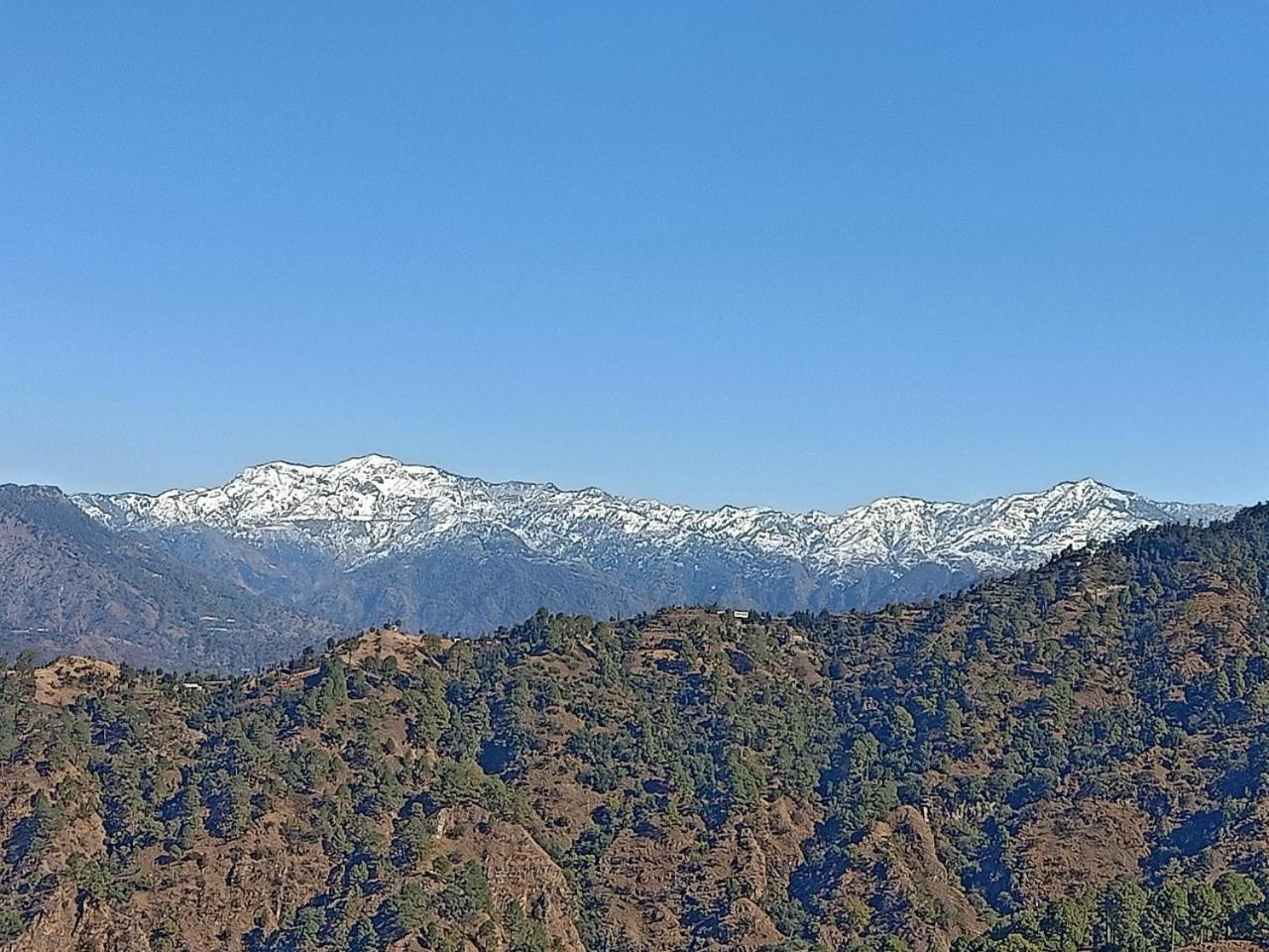 Shiva Valley Resort Kokhliyal Gaon Exteriör bild
